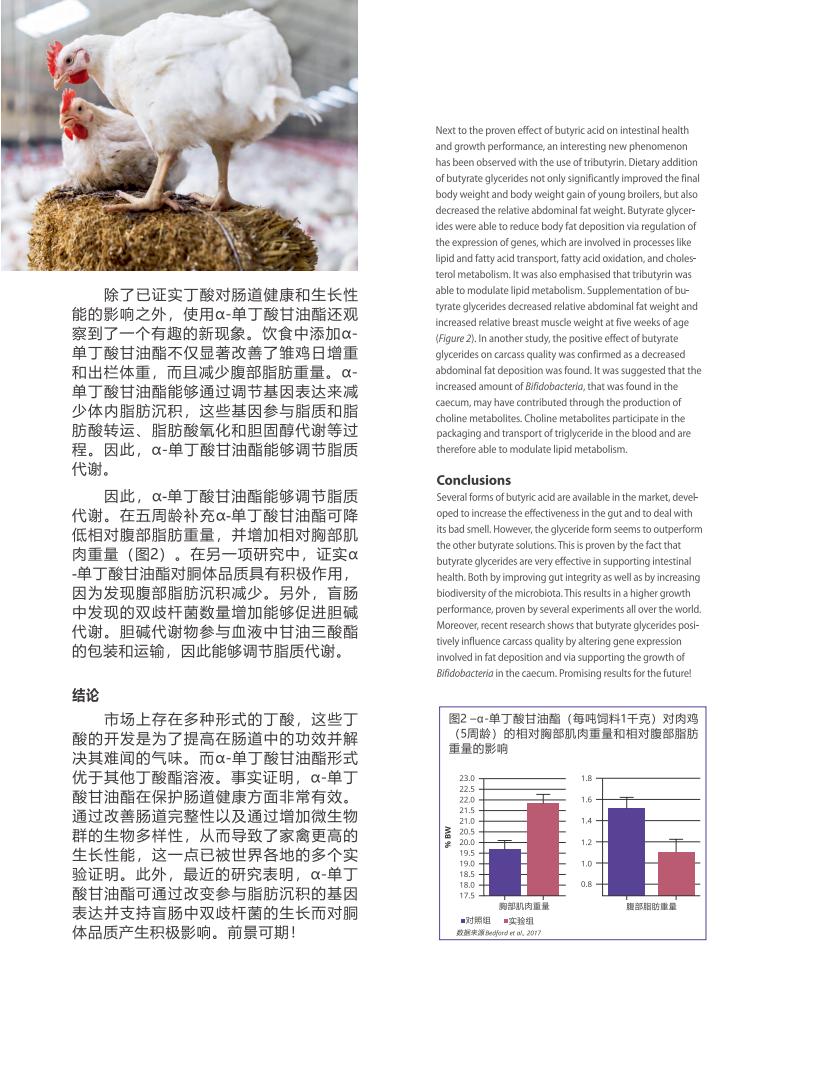 网站文章11.14_02