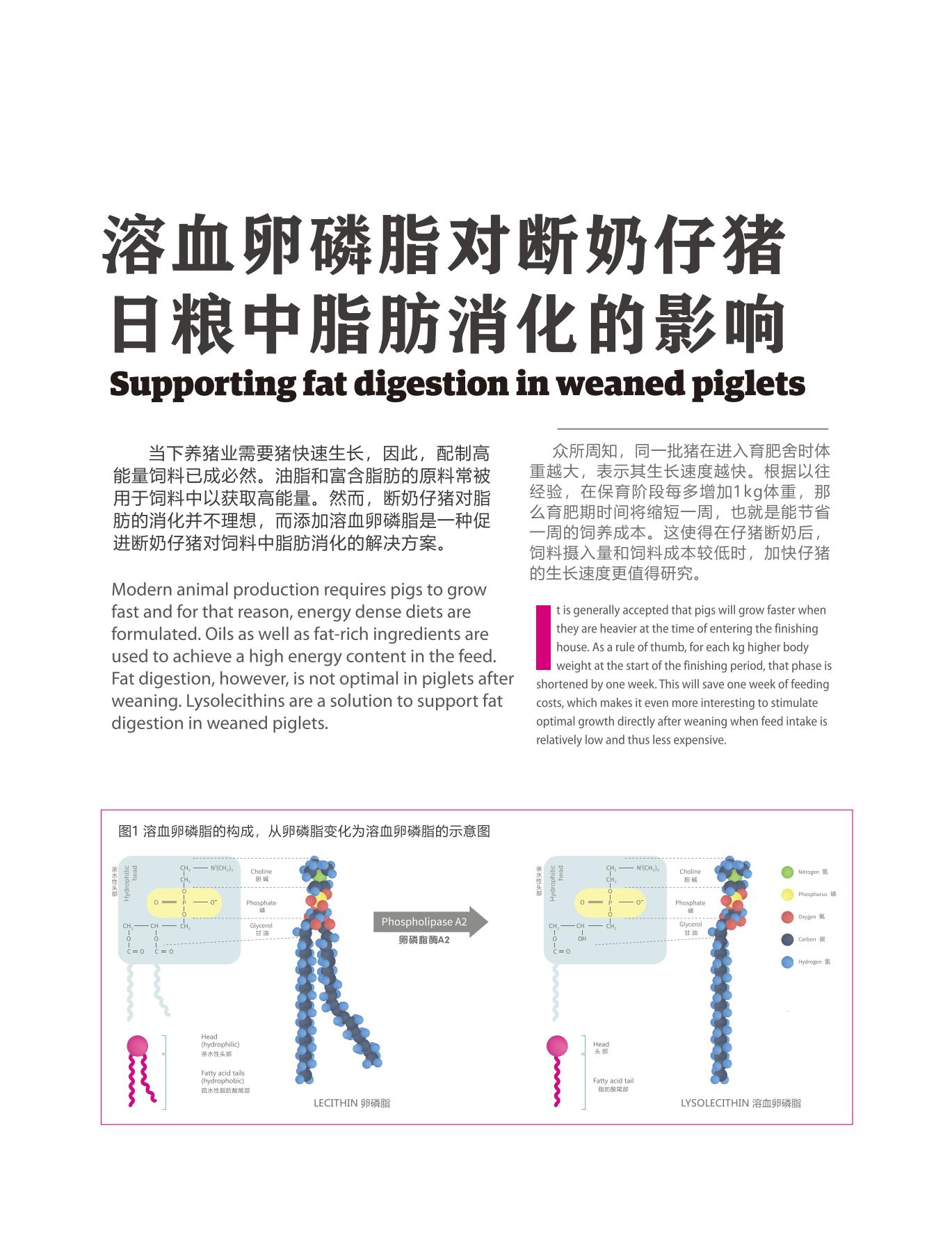 网站文章11.14_09