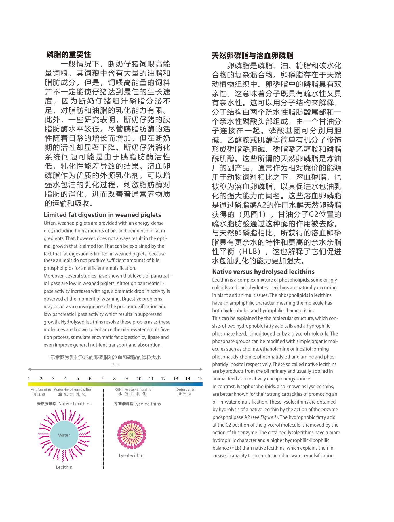 网站文章11.14_10