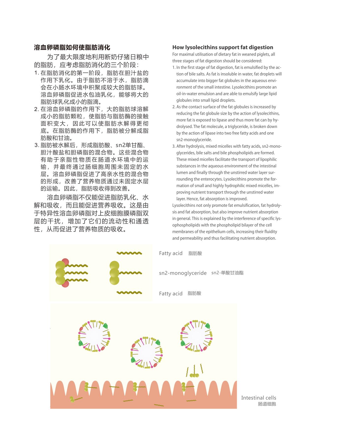 网站文章11.14_11