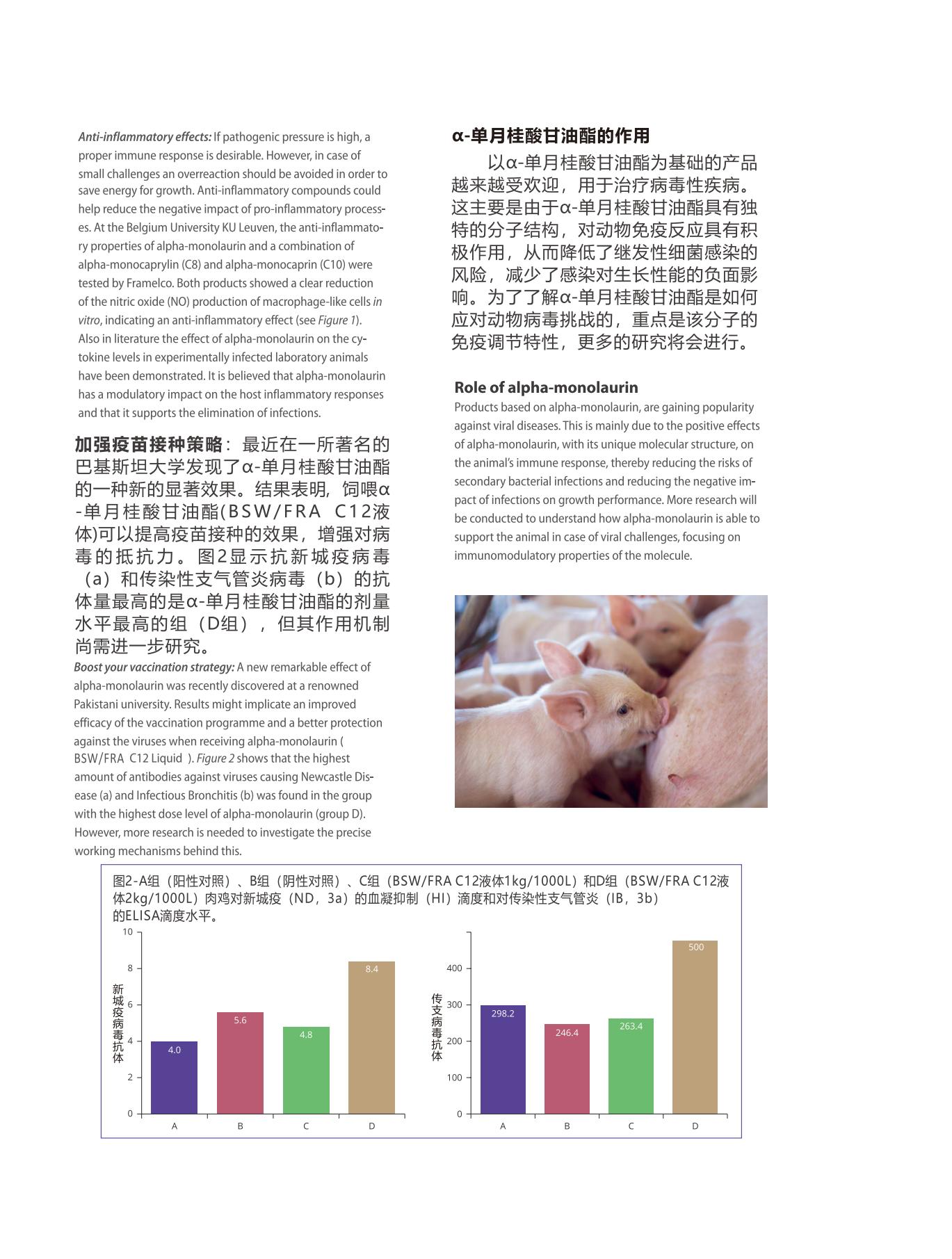 网站文章11.14_05