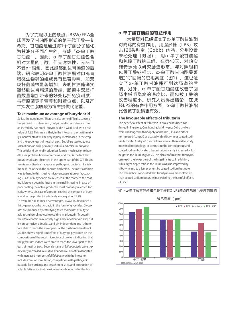 网站文章11.14_01