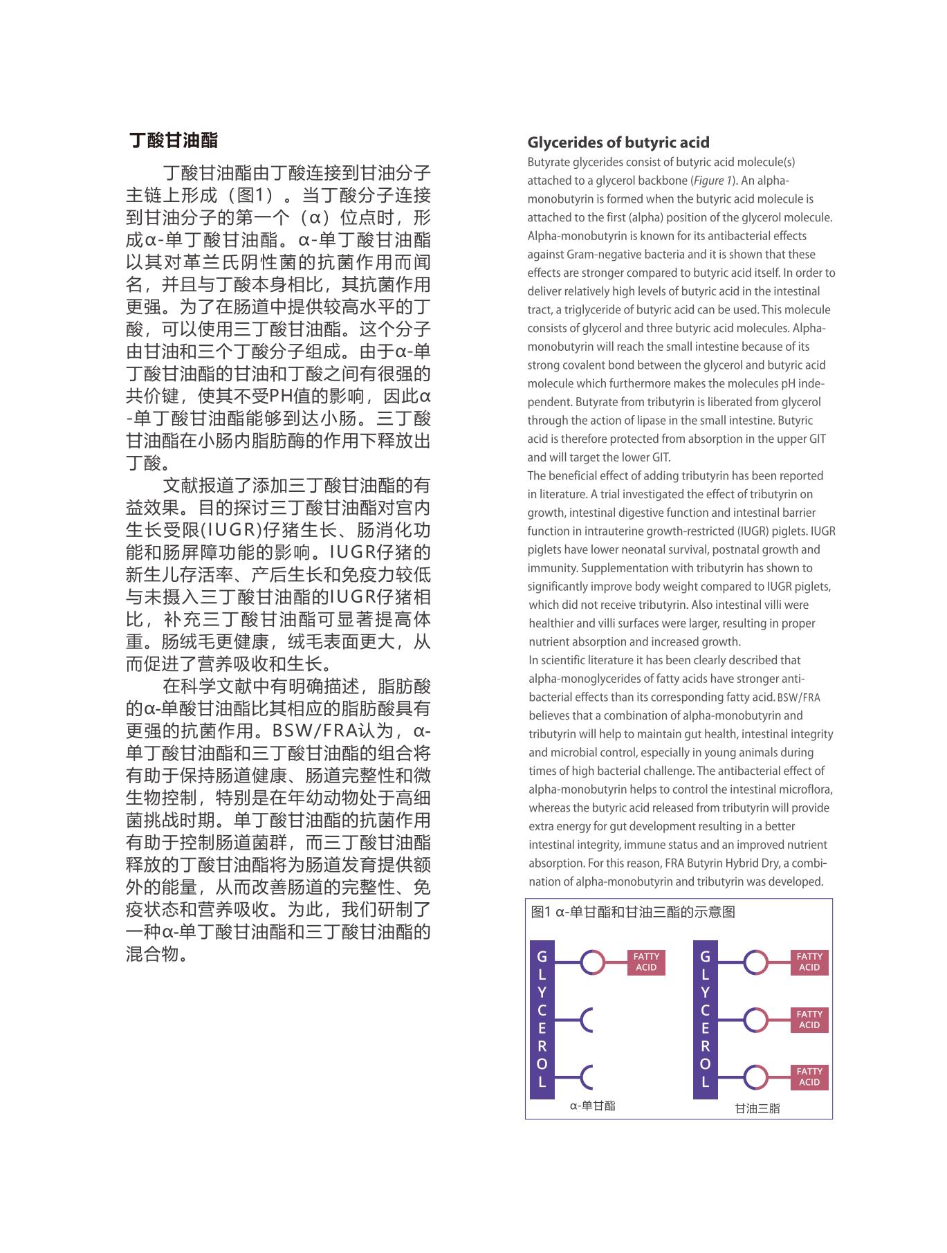 网站文章11.14_07